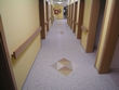 Podlahoviny Hovi